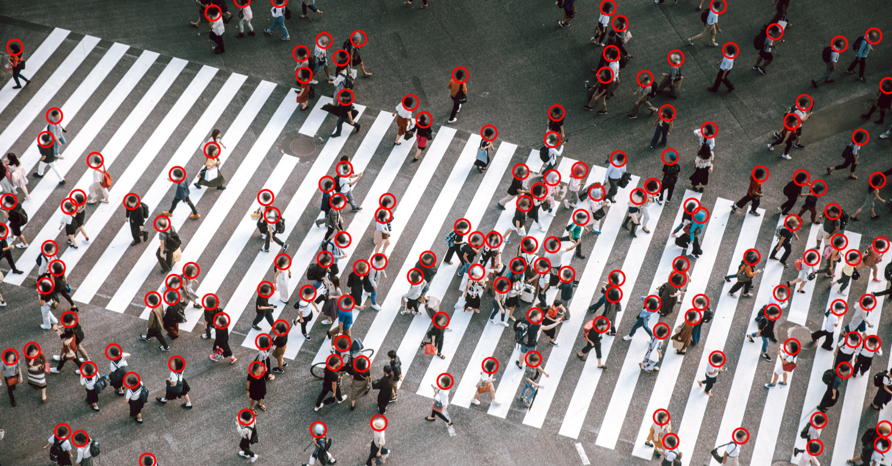 AI Where It Actually Matters (Part 4): The Opportunity Map