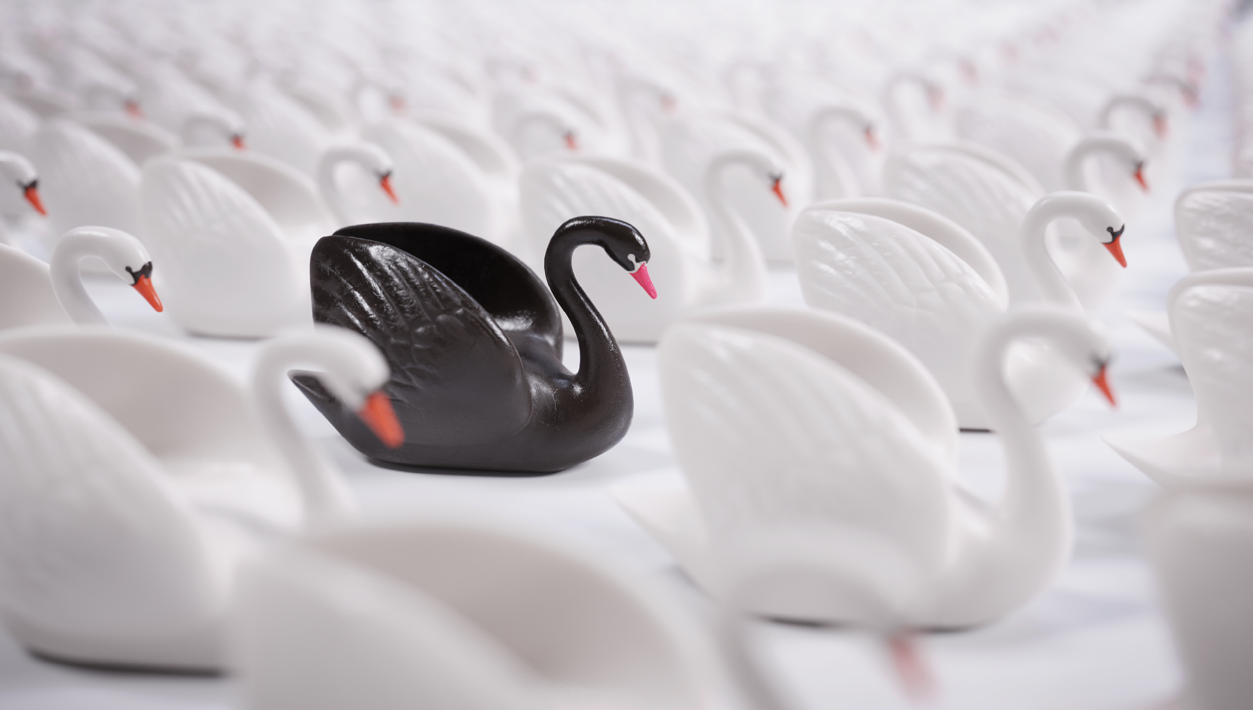Anticipate & Adjust: Leadership During a Black Swan