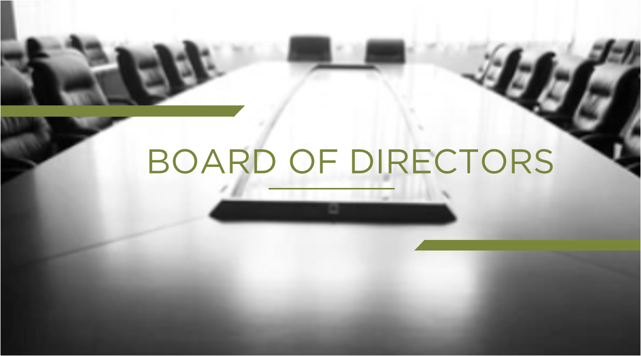 Why Growth-Stage Companies Need a Board of Directors