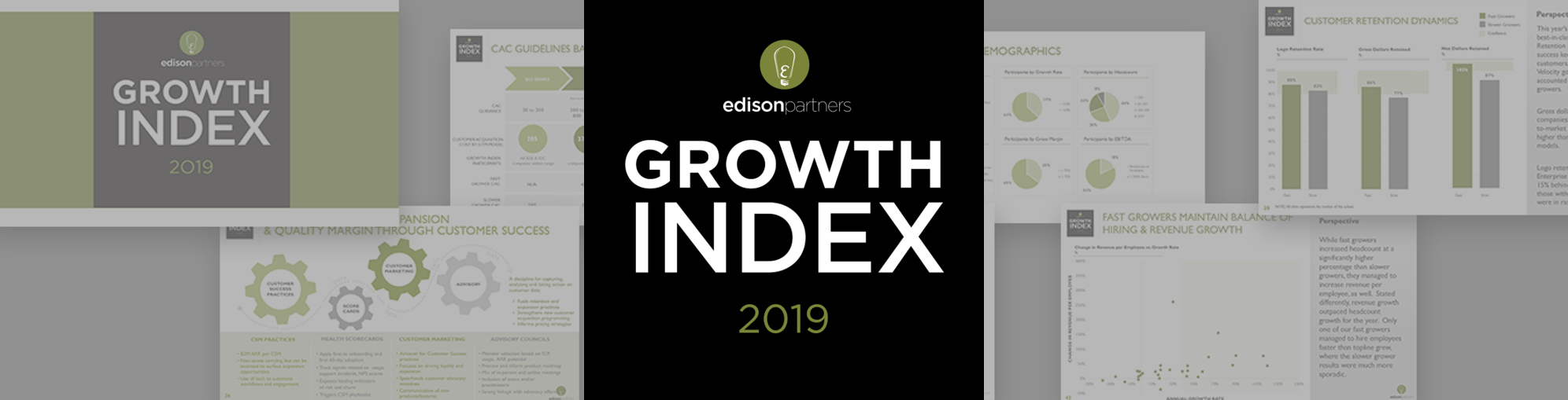 2019 Growth Index: How Fast Growers Price