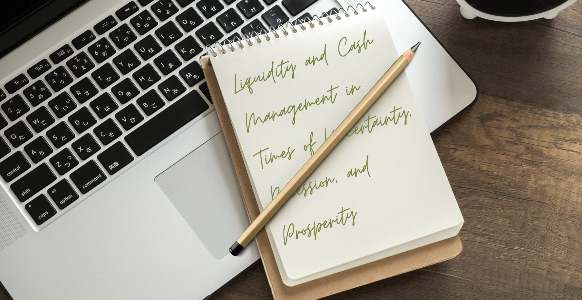Liquidity and Cash Management in Times of Uncertainty, Recession, and Prosperity